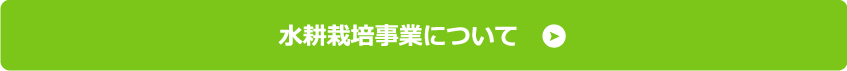 水耕栽培事業